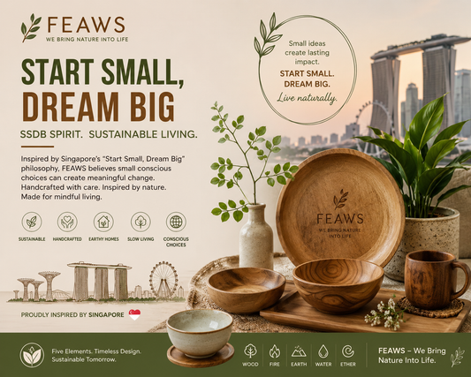 Start Small, Dream Big: How Singapore’s SSDB Spirit Reflects the Philosophy of FEAWS